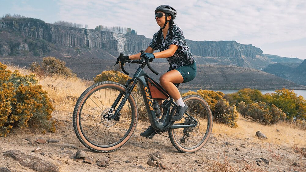 Wanderosa – Salsa Cycles