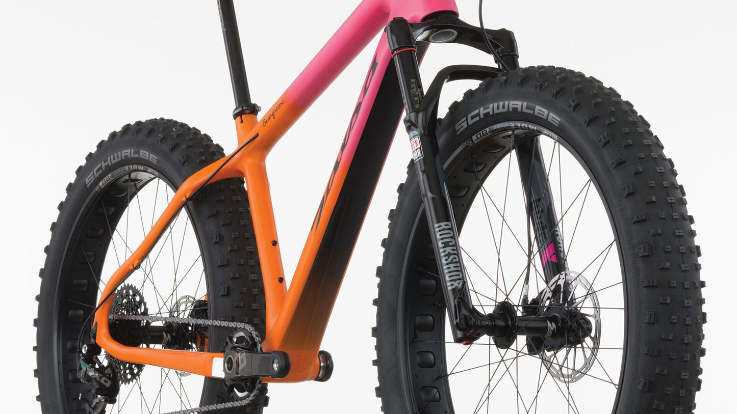 2016 Beargrease Carbon Sus X01