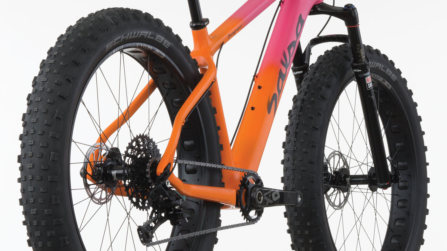 2016 Beargrease Carbon Sus X01