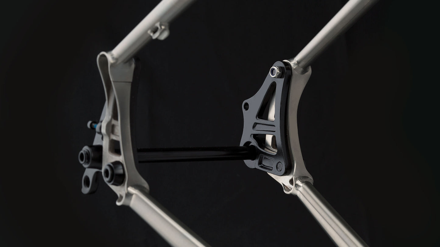 Fargo Ti frameset rear dropout focus