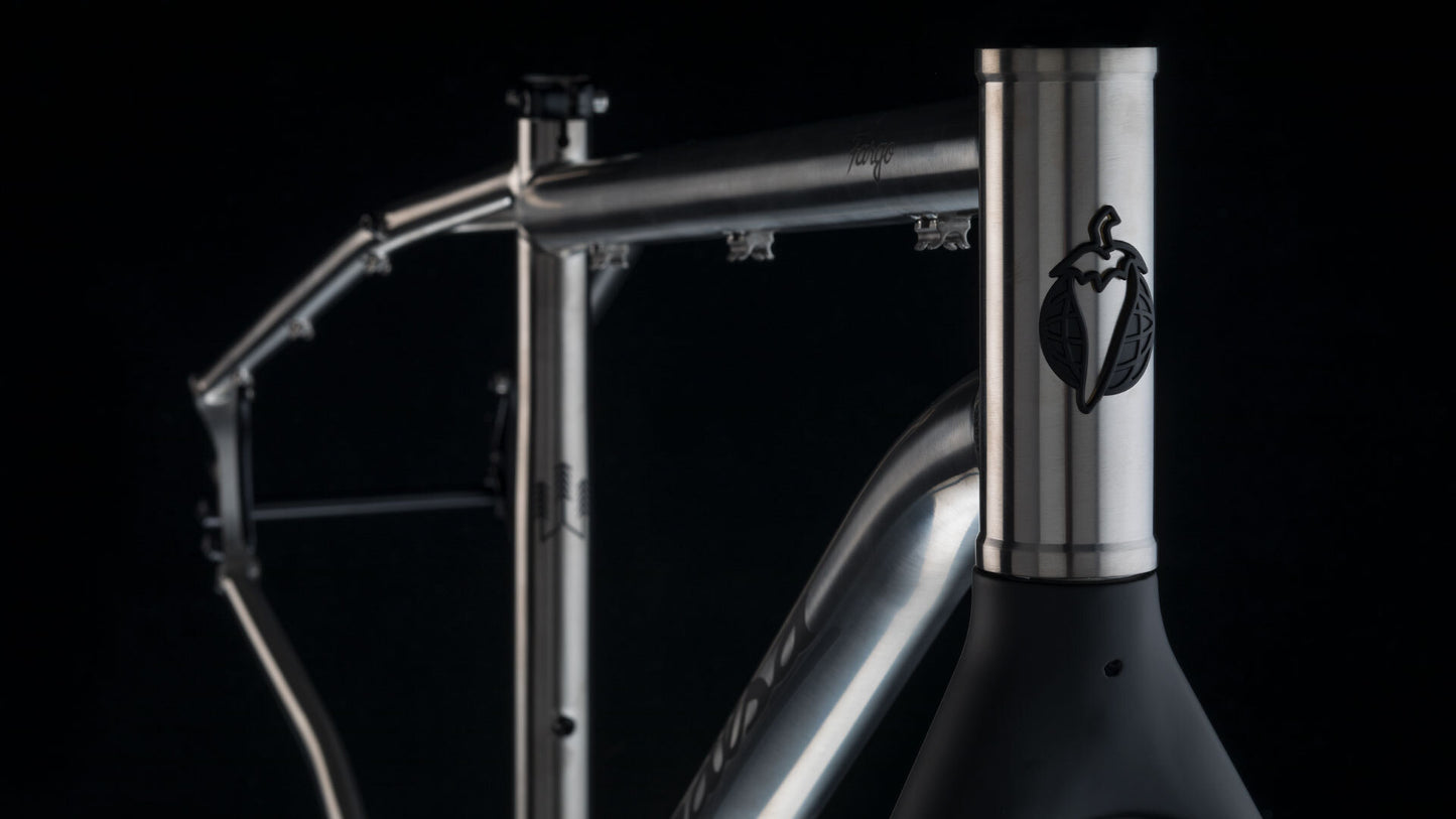 Salsa Fargo Ti frameset with carbon fork head tube area focus