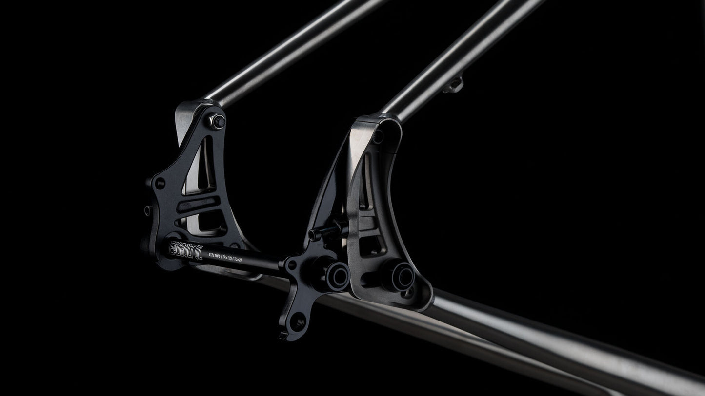 Salsa Fargo Ti frameset with carbon fork rear alternator dropout area focus