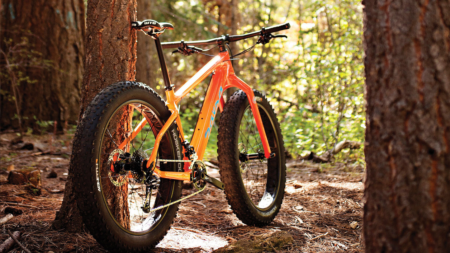 Salsa Beargrease Carbon bike Orange Fade color rear three-quarter view