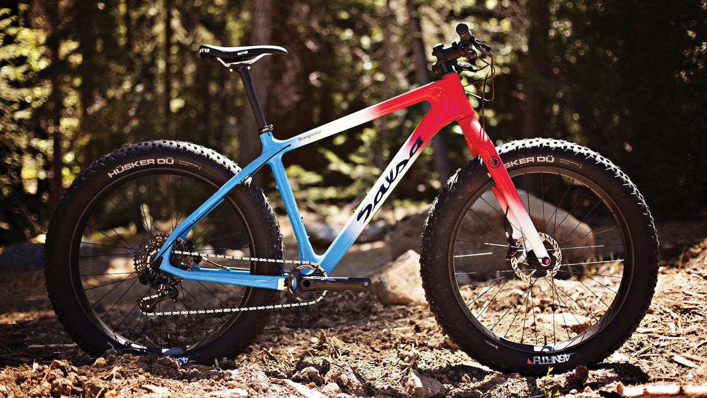 Salsa Beargrease Carbon Frameset built as bike side view blue, white, and red color