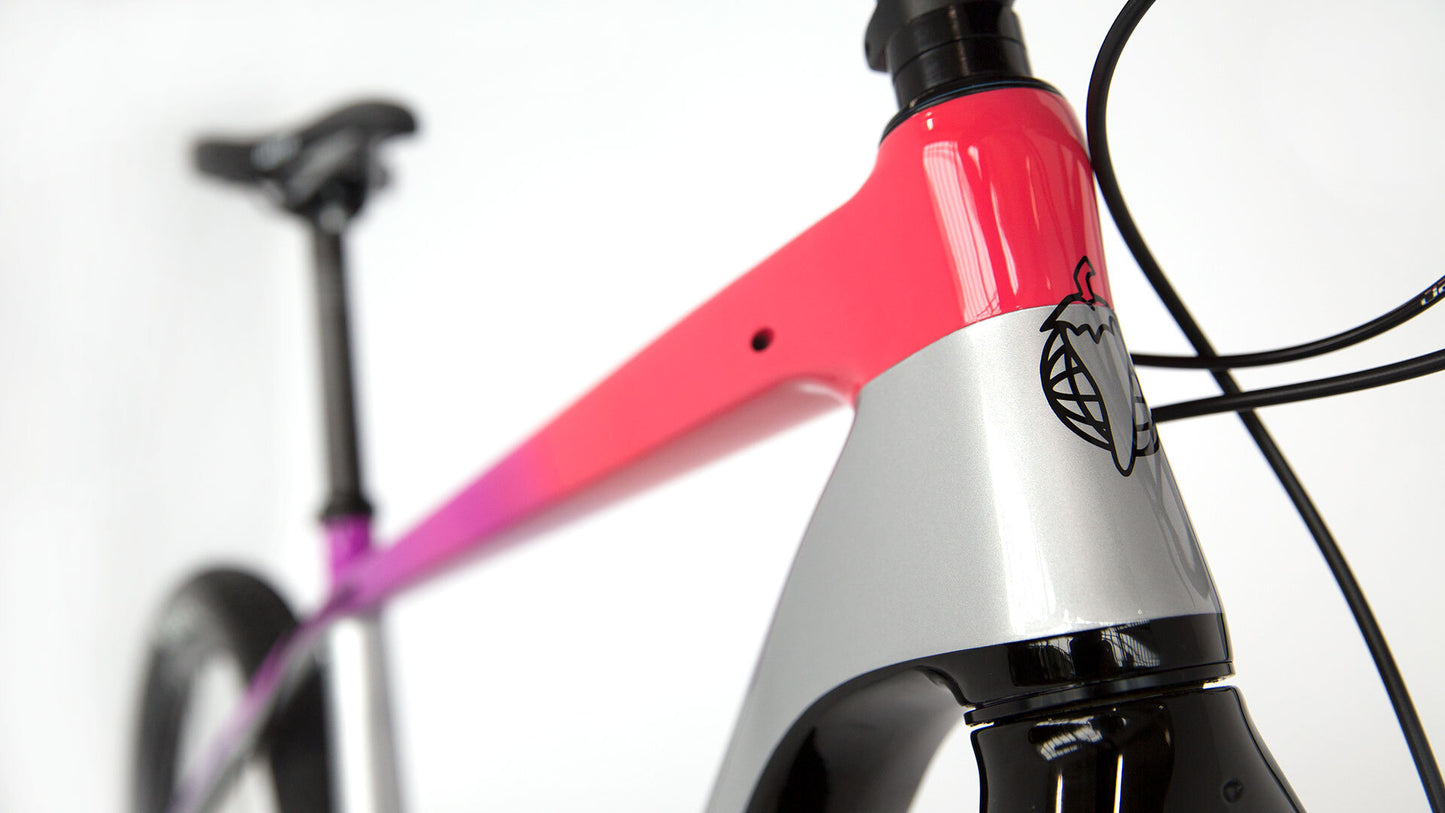 Salsa Cutthroat Force 1 bike silver red and black color headtube area focus