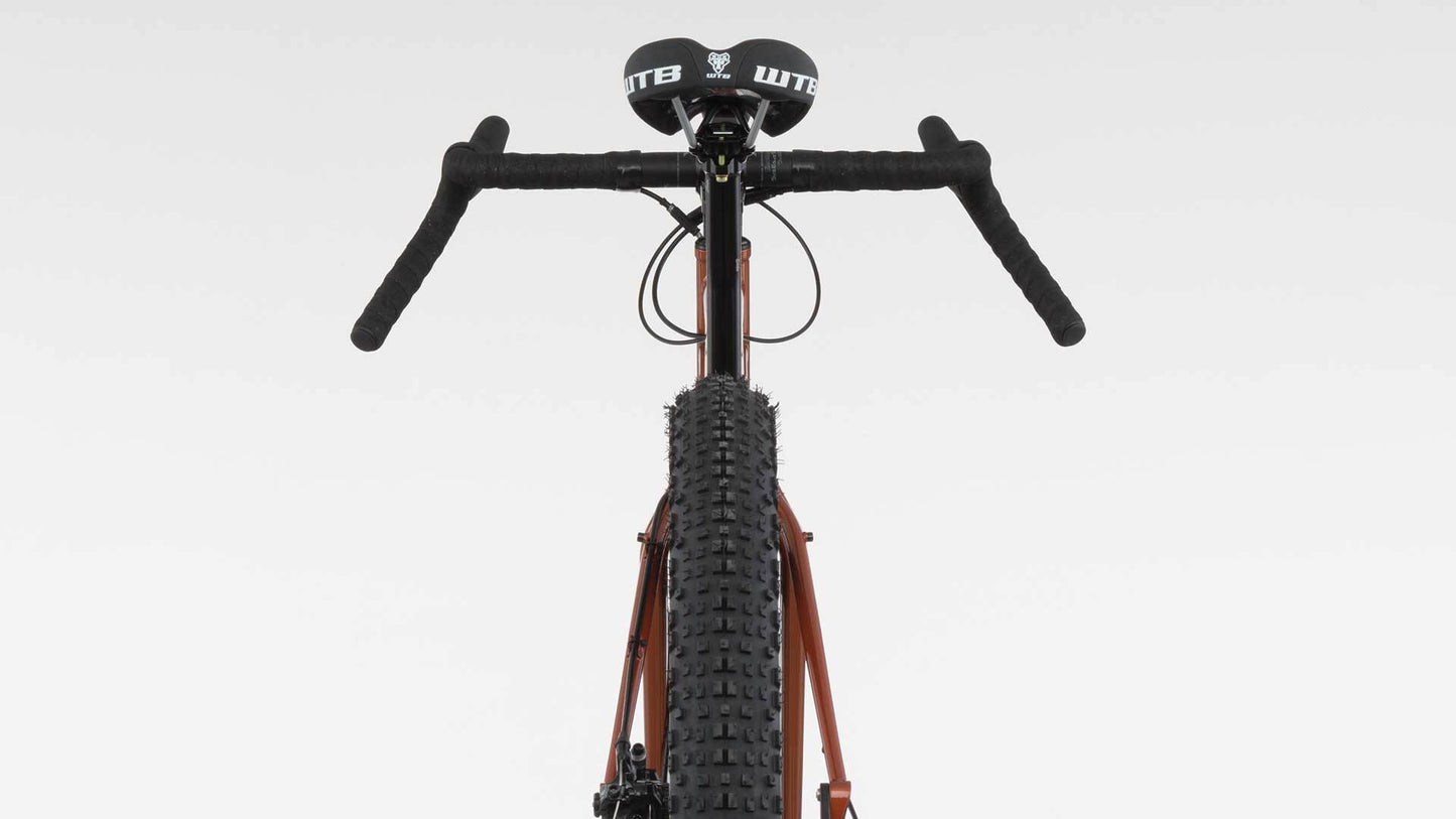 Salsa Deadwood steel 29-plus bike copper color rear view
