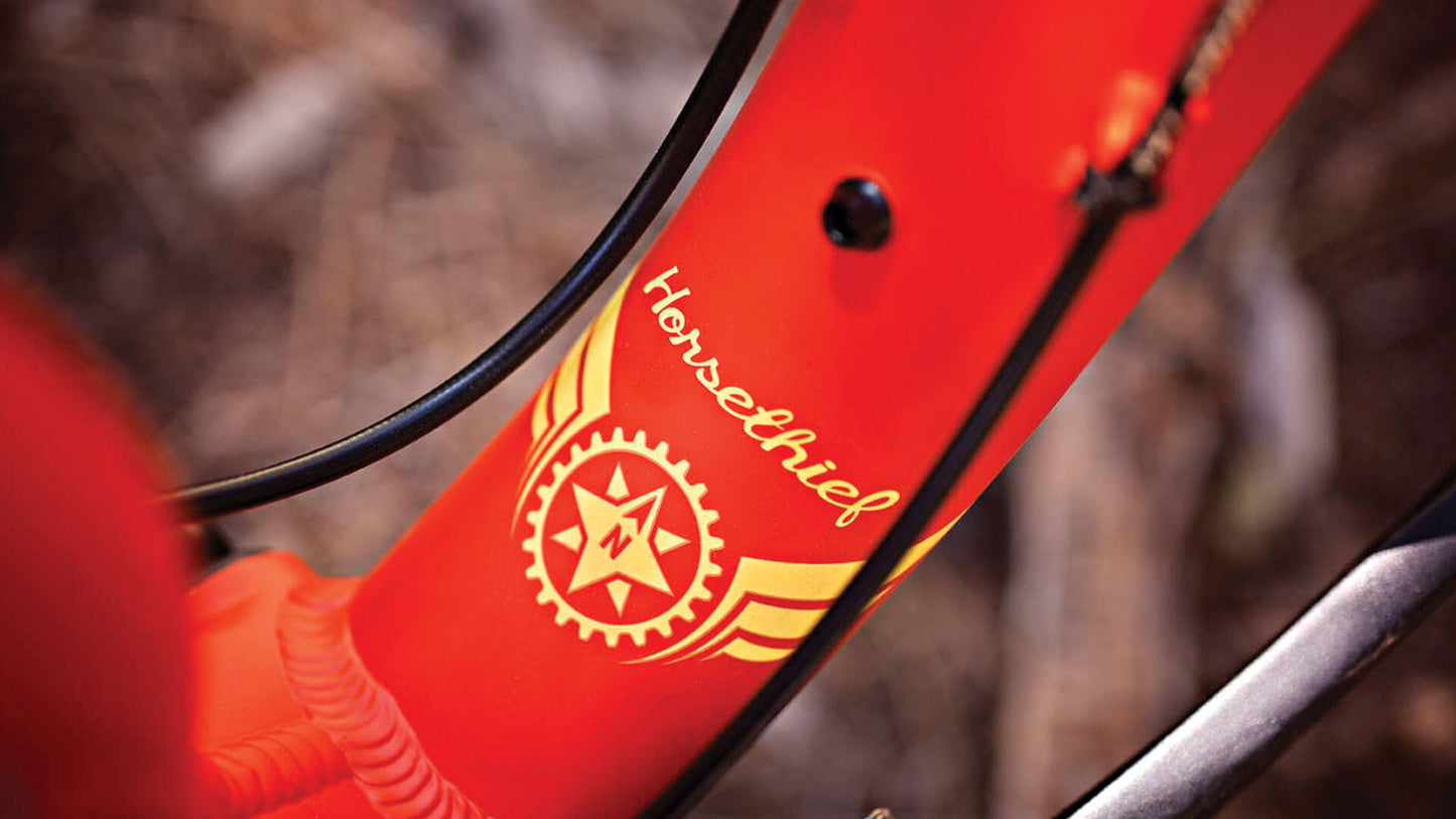 Salsa Horsethief GX1 bike orange color down tube bottle boss area focus