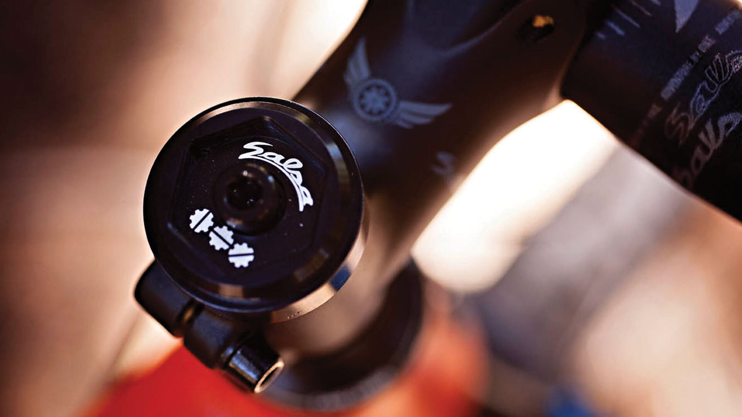 Salsa Horsethief GX1 bike orange color stem area focus