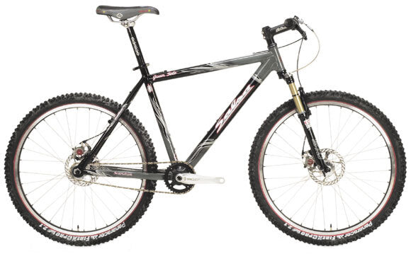 Salsa Juan Solo single speed bike gray color side view