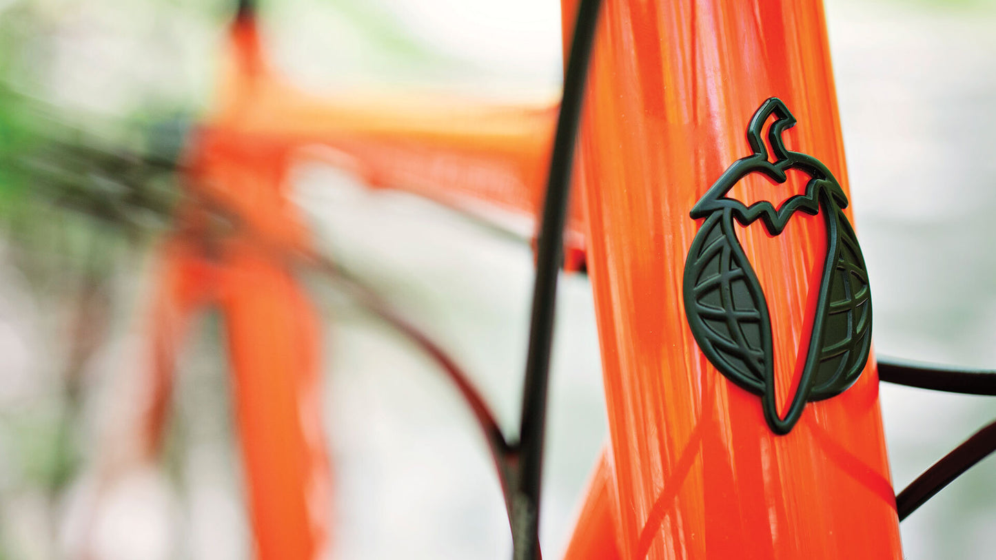 Salsa Marrakesh Deore bike orange color headtube badge focus