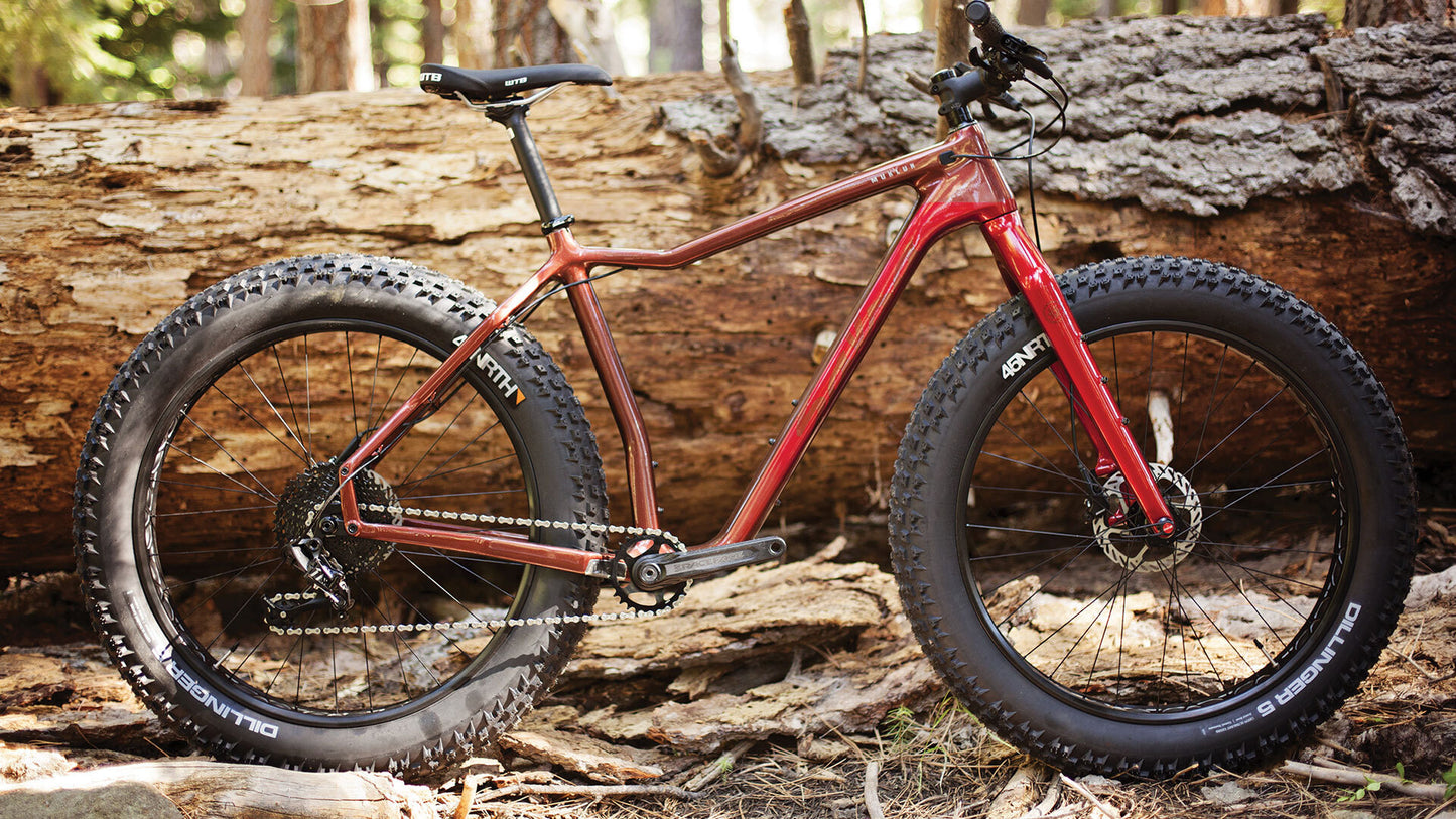 Salsa Mukluk Carbon GX bike red color side view outside next to downed tree