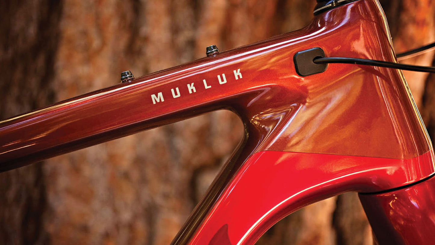 Salsa Mukluk Carbon GX bike red color head tube area focus