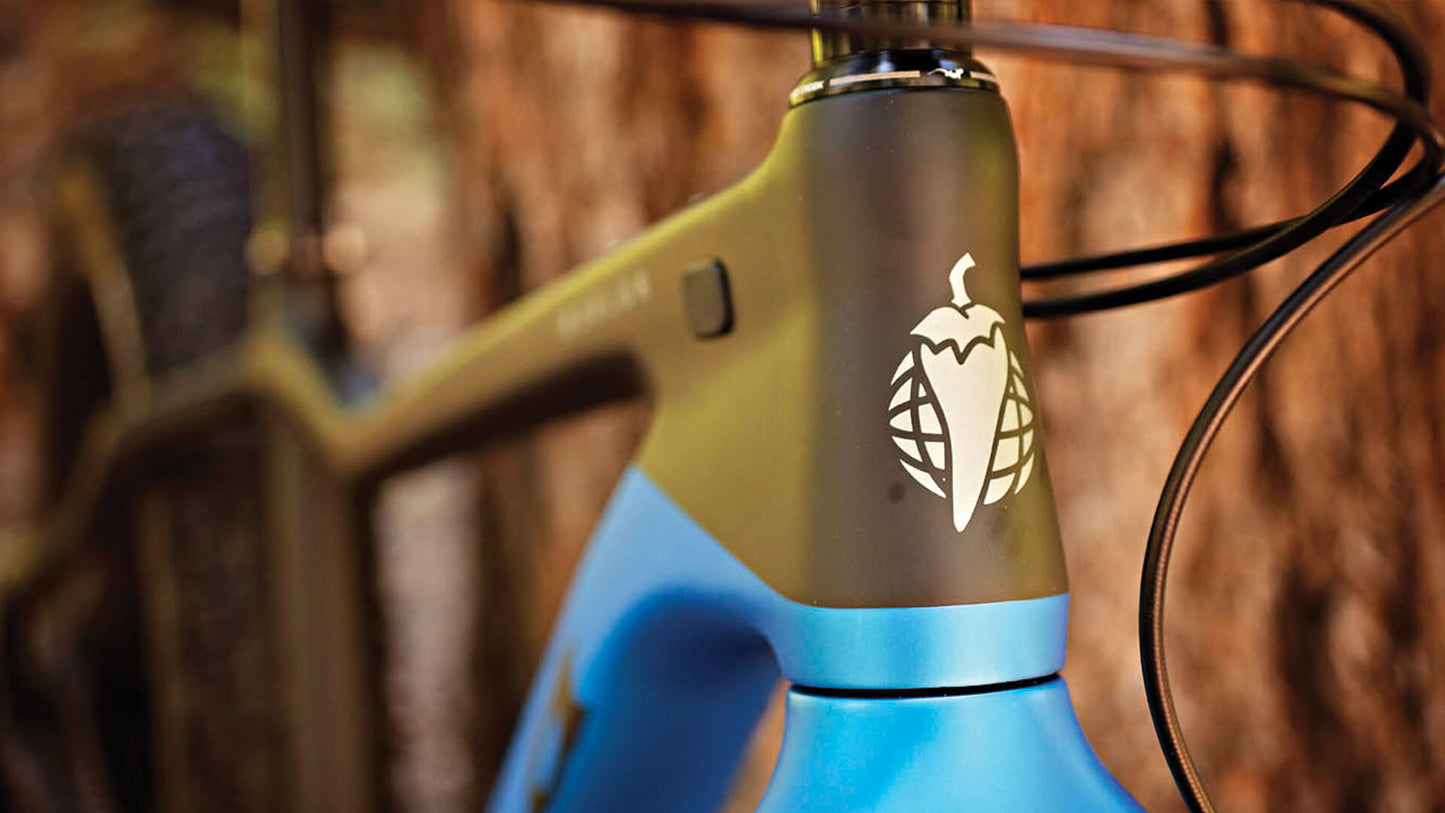 Mukluk Carbon XO1 bike carbon and blue color head tube area focus