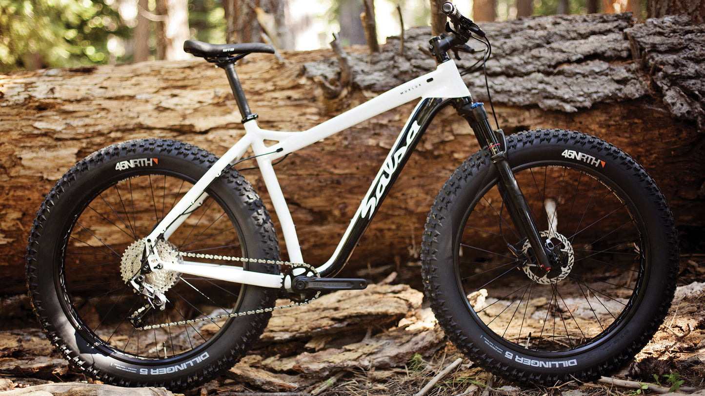 Salsa Mukluk NX1 SUS bike white and black color side view outside next to downed tree