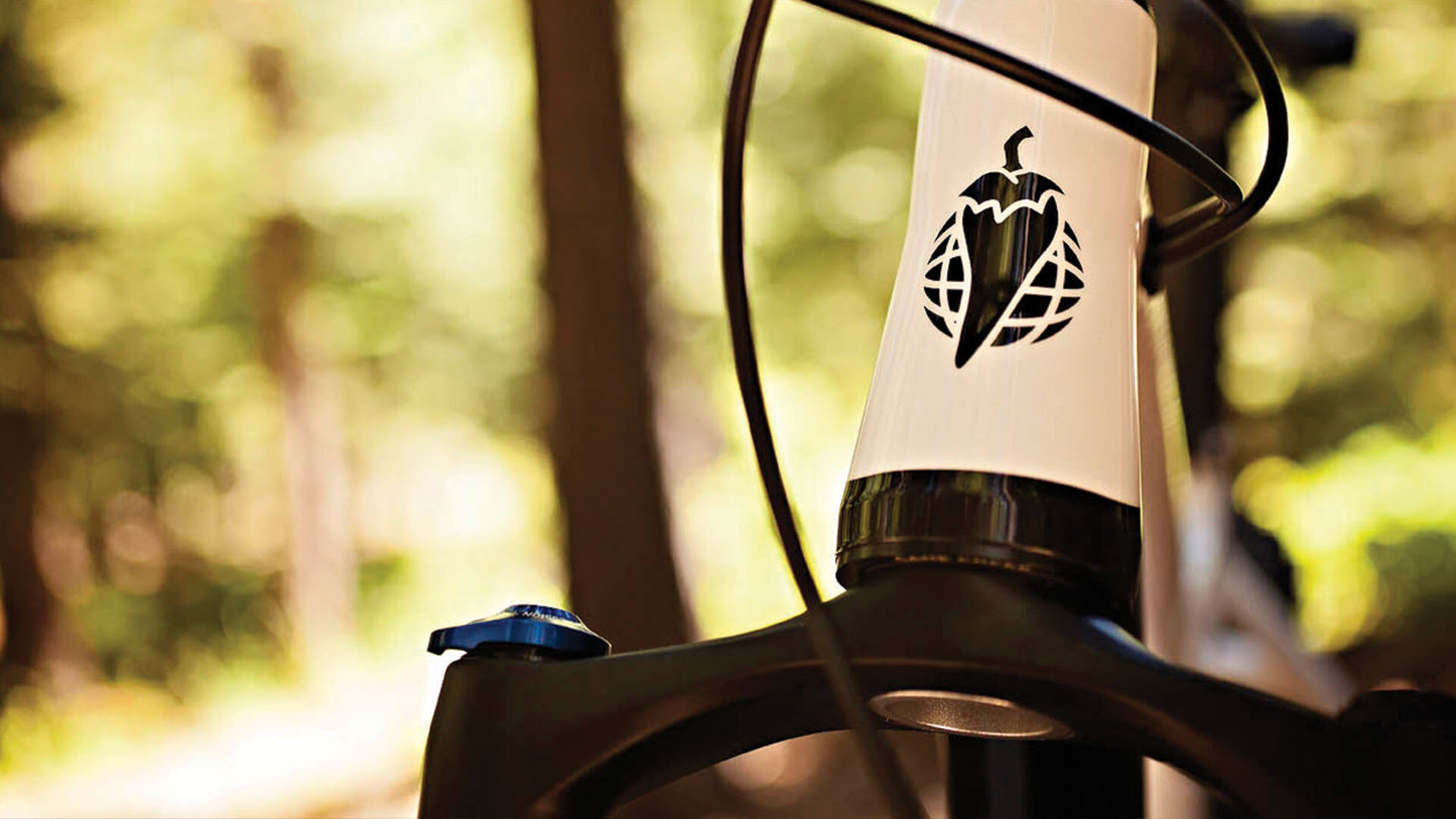 Salsa Mukluk NX1 SUS bike white and black color headtube area focus