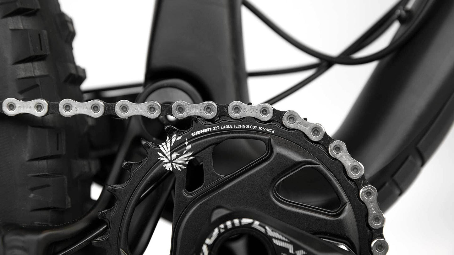 Salsa Pony Rustler Carbon GX Eagle bike crank and chain close-up