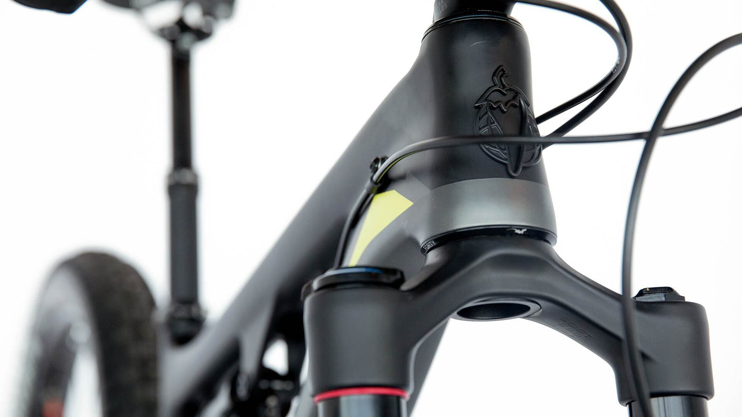 Salsa Pony Rustler Carbon SLX bike carbon color head tube area focus