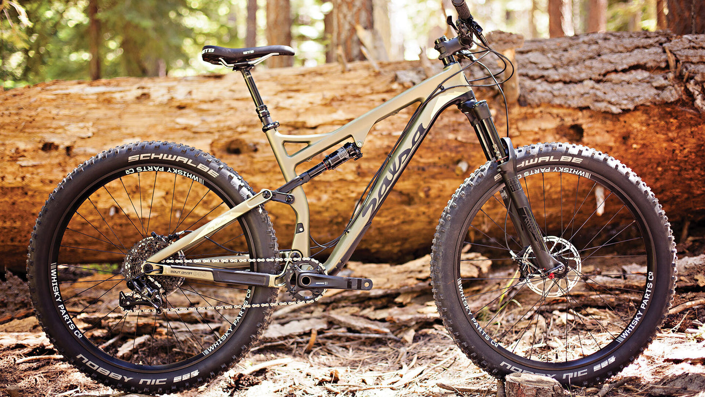 Salsa Pony Rustler Carbon GX1 bike green color side view next to downed tree