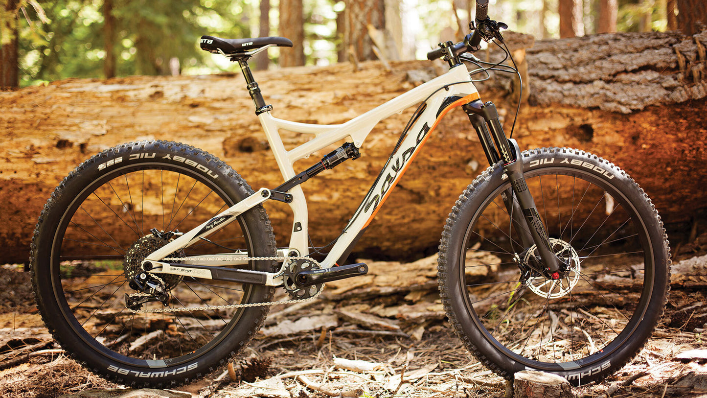 Salsa Pony Rustler Carbon XO1 bike tan color side view next to downed tree