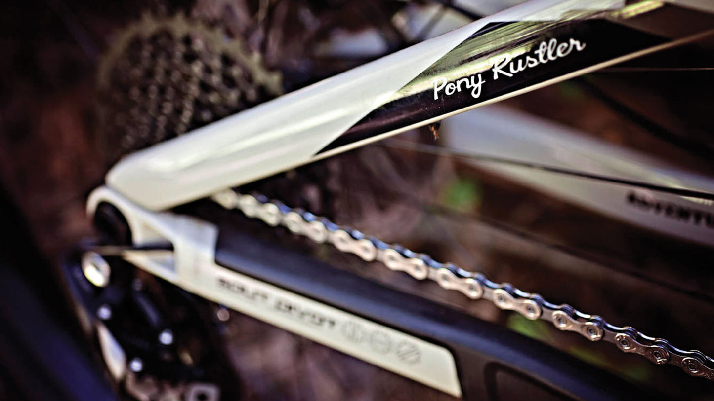 Salsa Pony Rustler Carbon XO1 bike tan color seat stay decal area focus