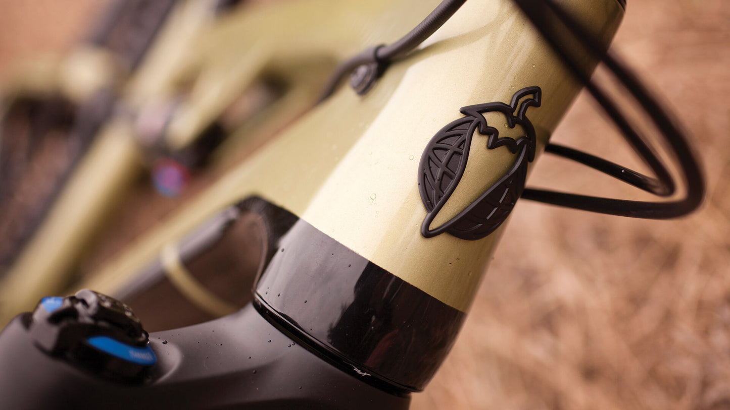 Salsa Redpoint Carbon XO1 bike gold color head tube area focus