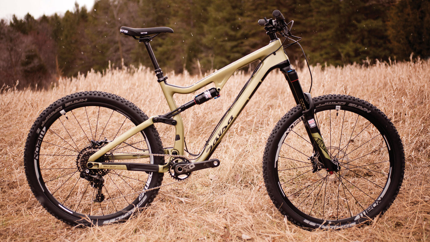 Salsa Redpoint Carbon XO1 bike gold color side view outside in tall dead grass
