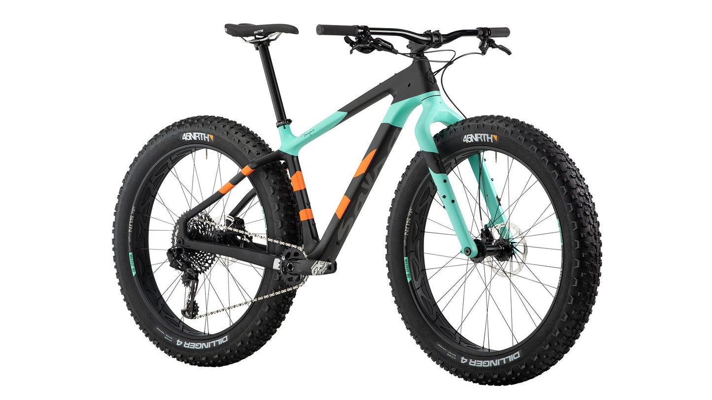 2020 Beargrease Carbon GX Eagle