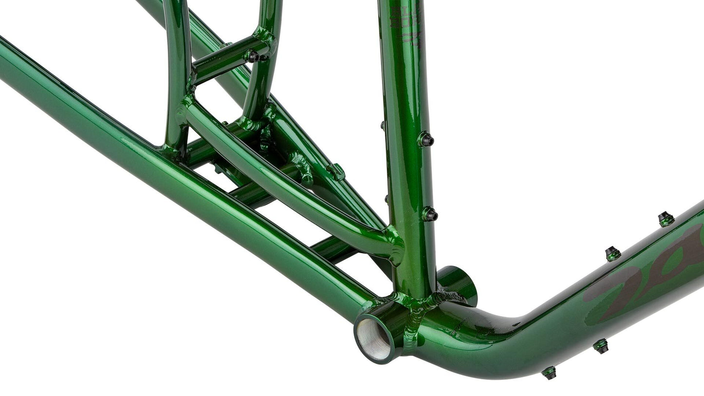 Salsa 2020 Blackborow Frameset bottom bracket area focus