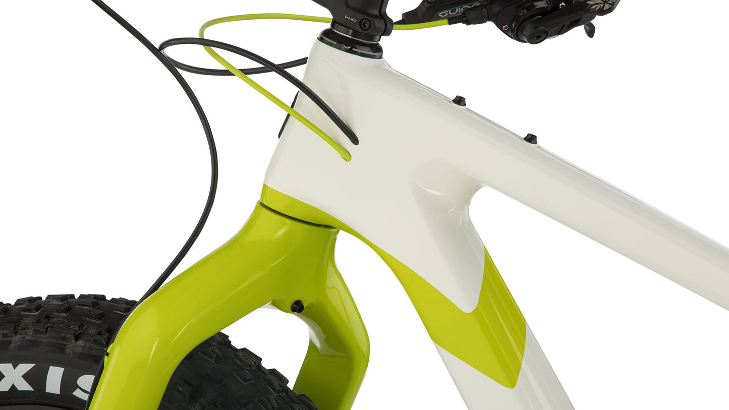 Salsa Beargrease Carbon GX Eagle bike headtube detail