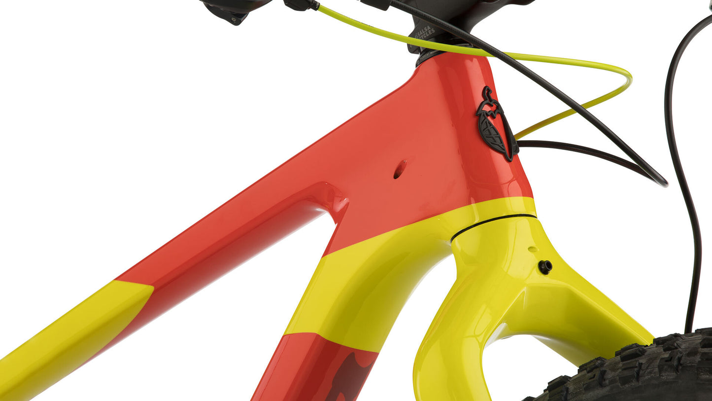 Salsa Beargrease Carbon XO1 Eagle bike headtube focus