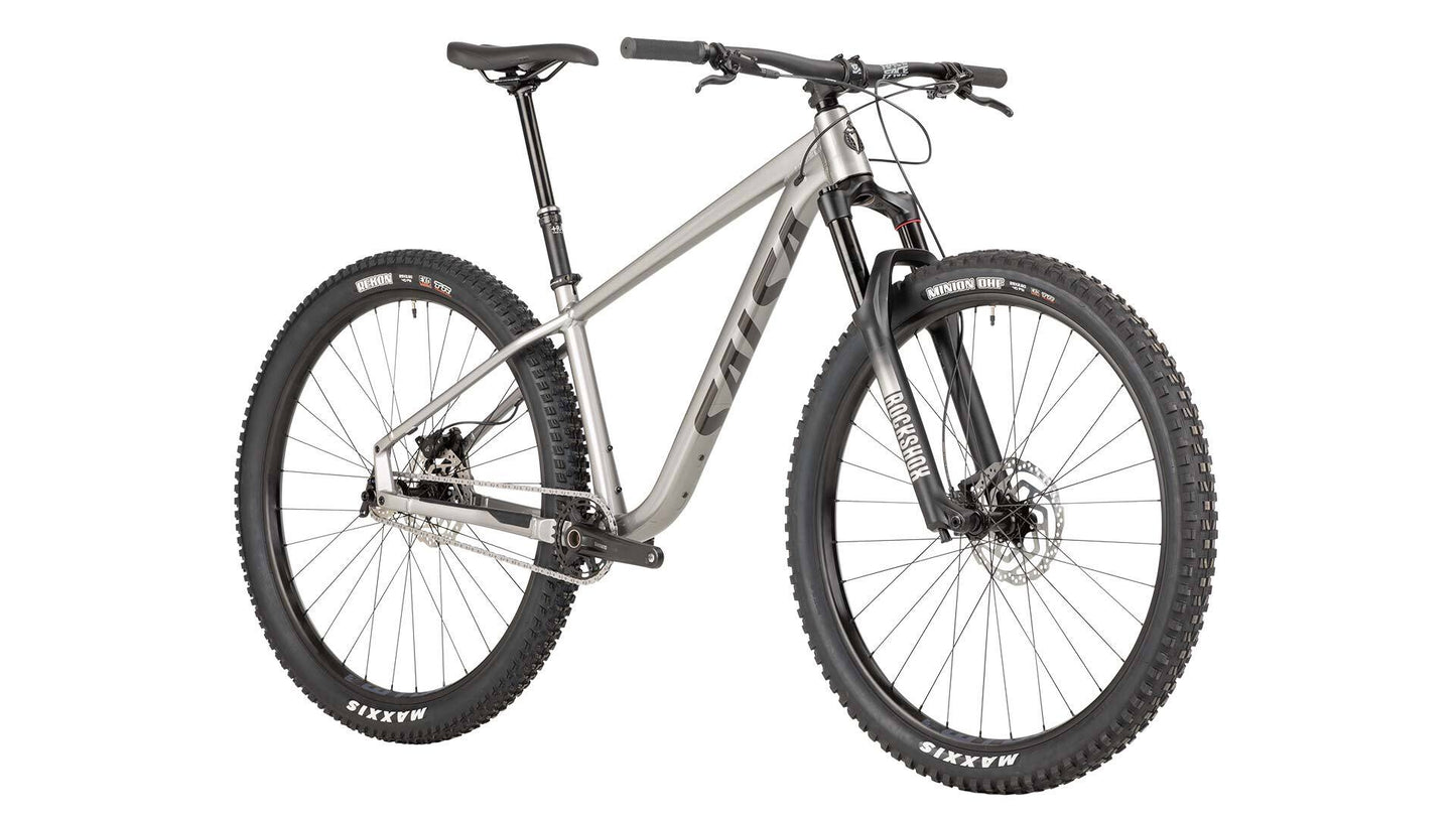 Salsa Timberjack Single Speed 29 bike silver color front three-quarter view