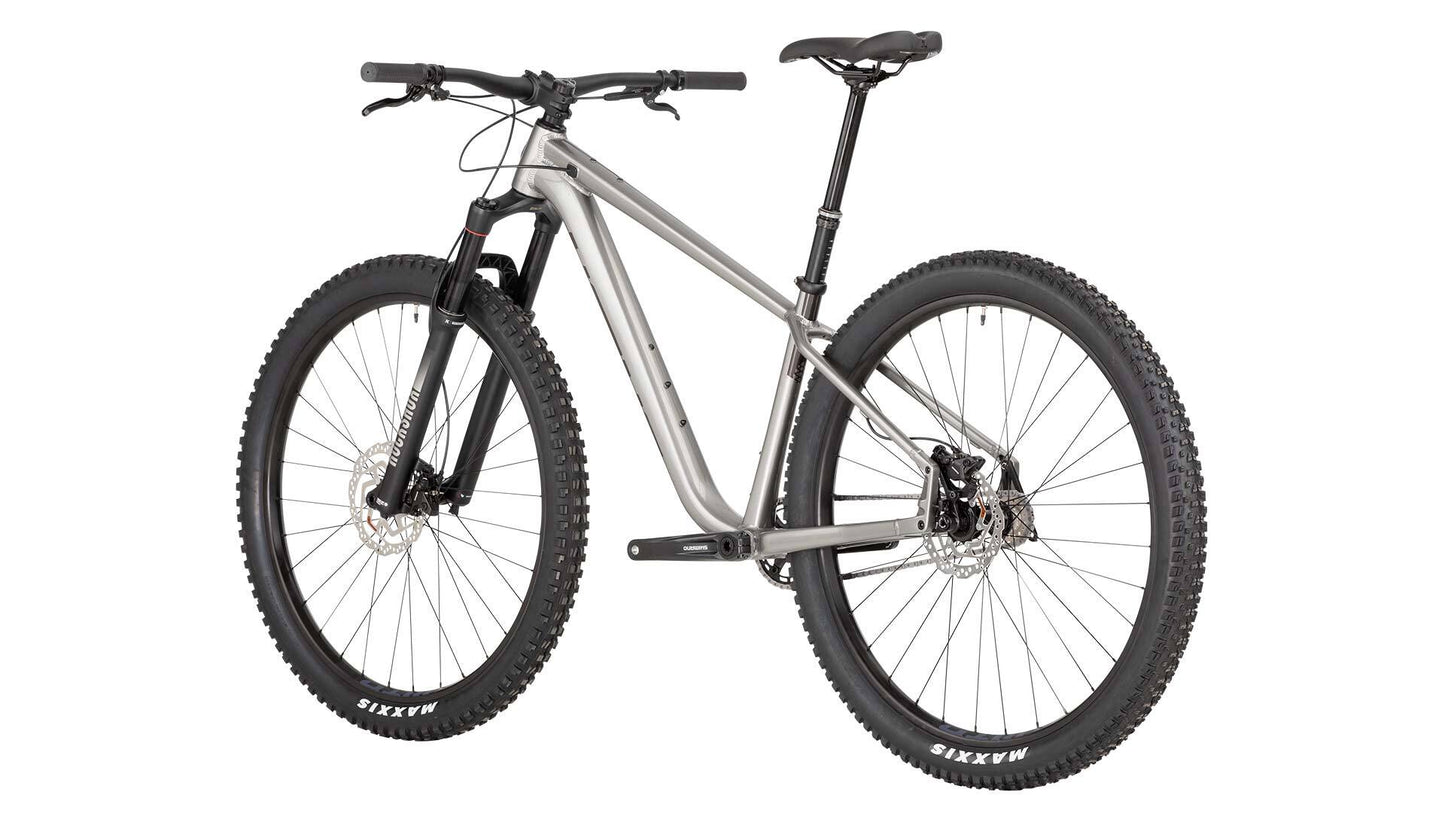 Salsa Timberjack Single Speed 29 bike silver color rear three-quarter view