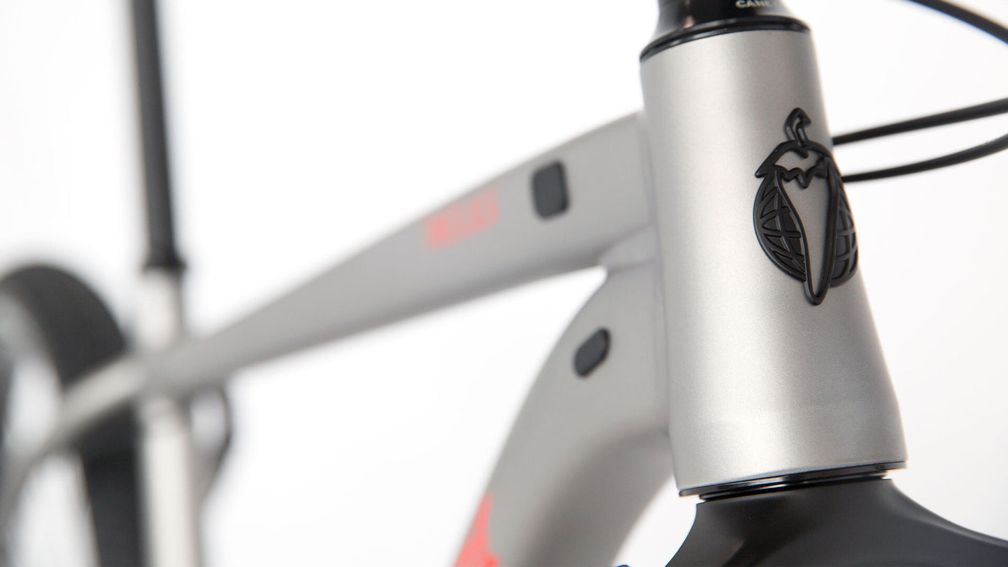 Salsa Timberjack NX1 27.5 bike silver color head tube area focus