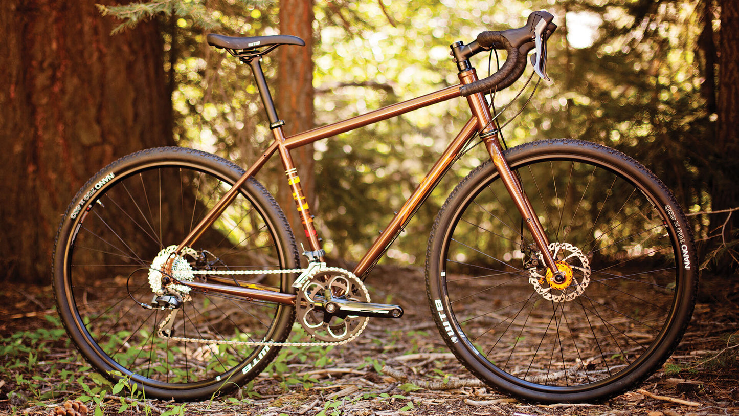 Salsa Vaya Claris bike brown color side view outside in forest