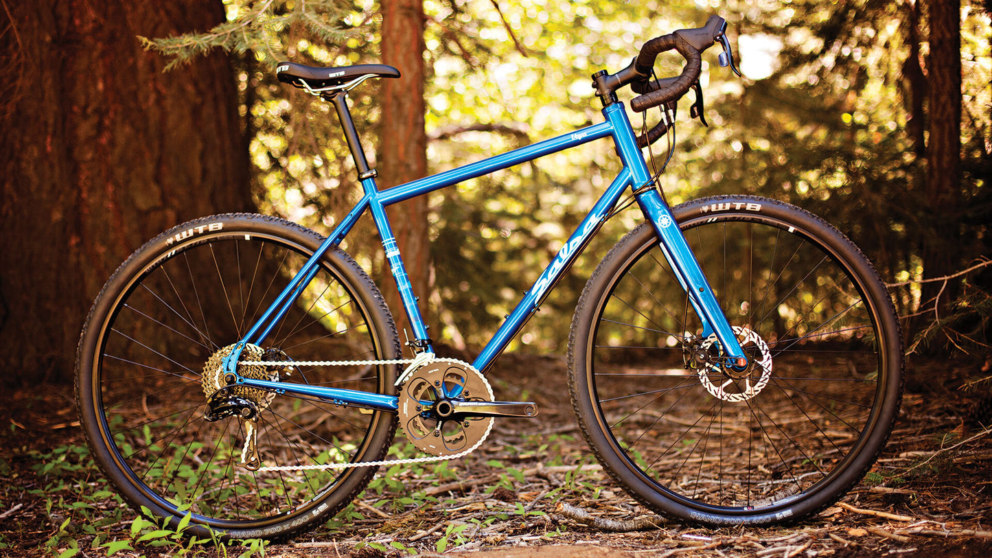 Salsa Vaya GX bike blue color side view in forest