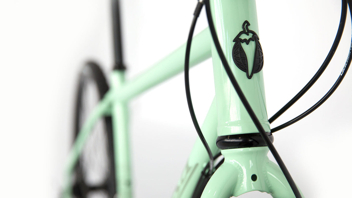 Salsa Vaya Tiagra bike mint color head tube area focus