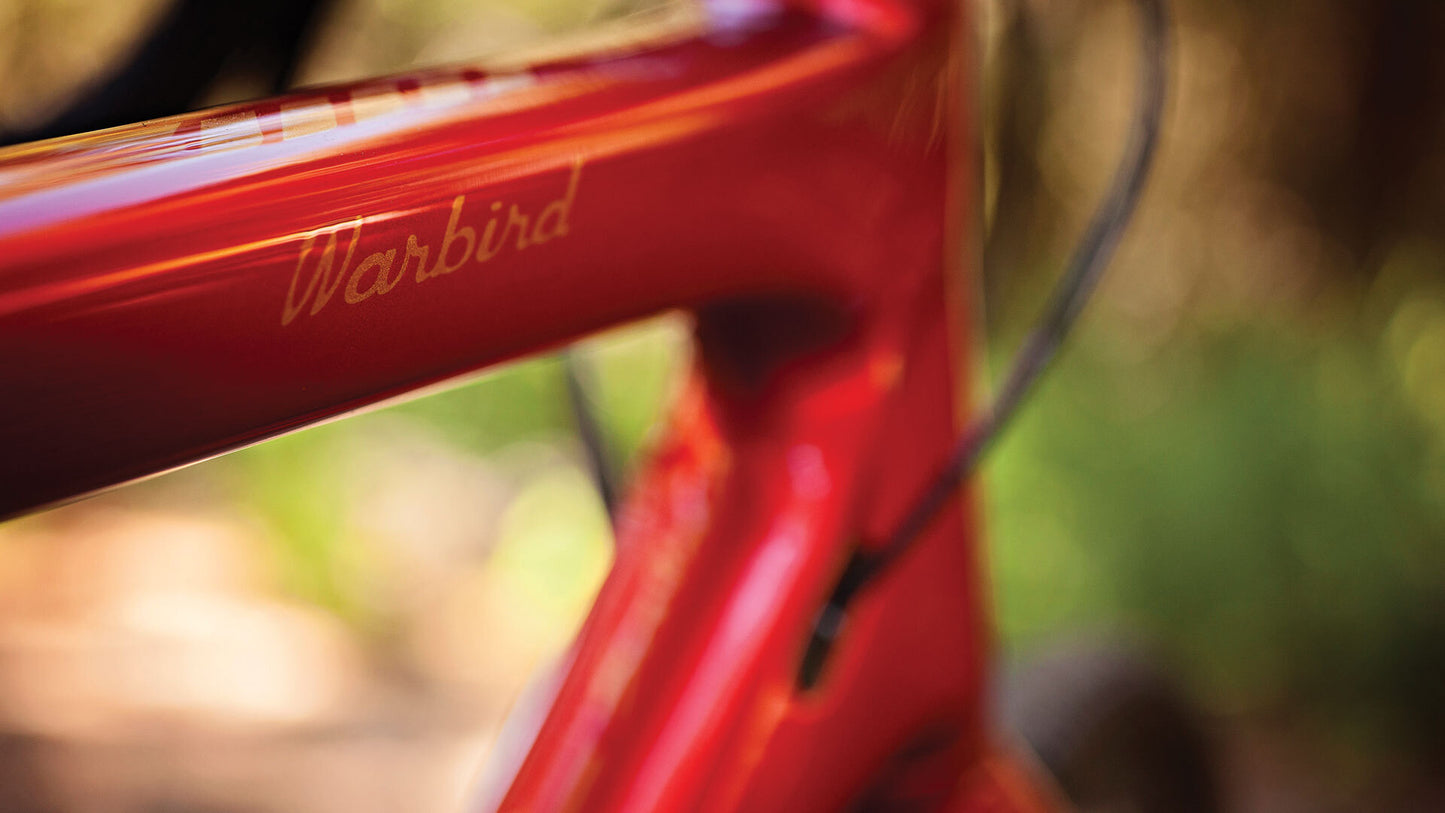 Close-up of a red bicycle frame with 'Warbird' branding, blurred background