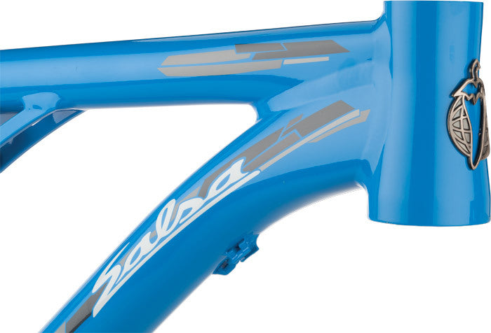 Salsa Horsethief 2 frame blue color headtube area focus