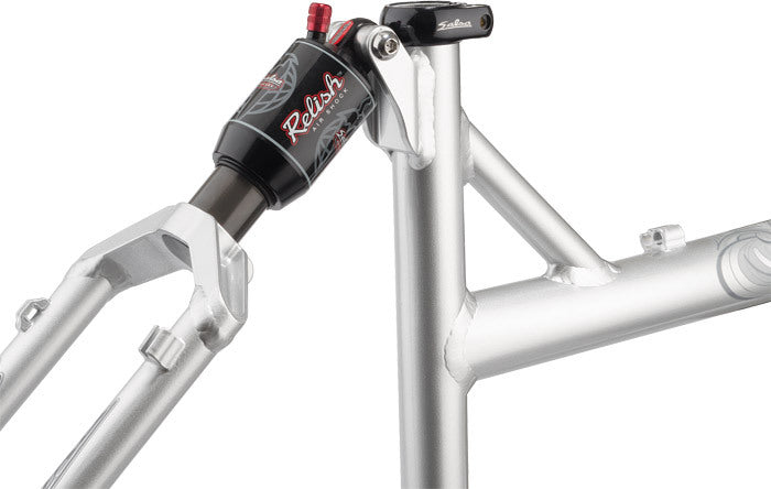 Salsa Dos Niner frame silver color seat tube and rear shock area focus