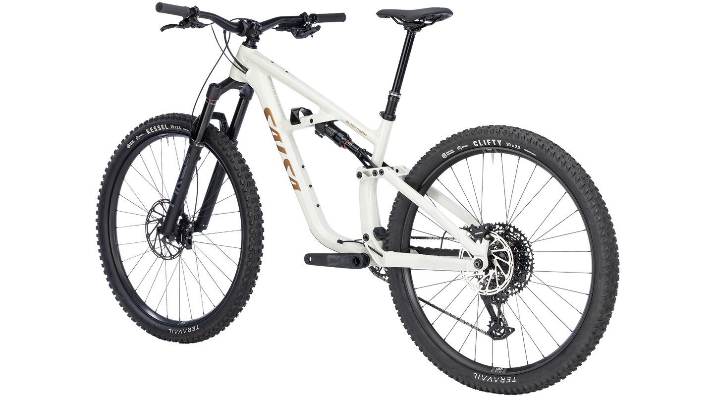 Salsa Blackthorn Aluminum 125 Full Suspension MTB - Vapor Gray - Rear three quarter view