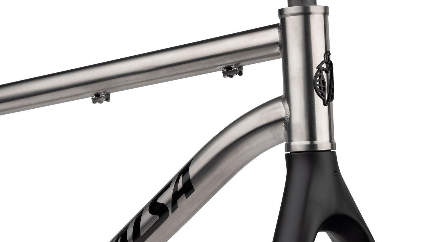 Salsa Fargo Ti frameset headtube area focus