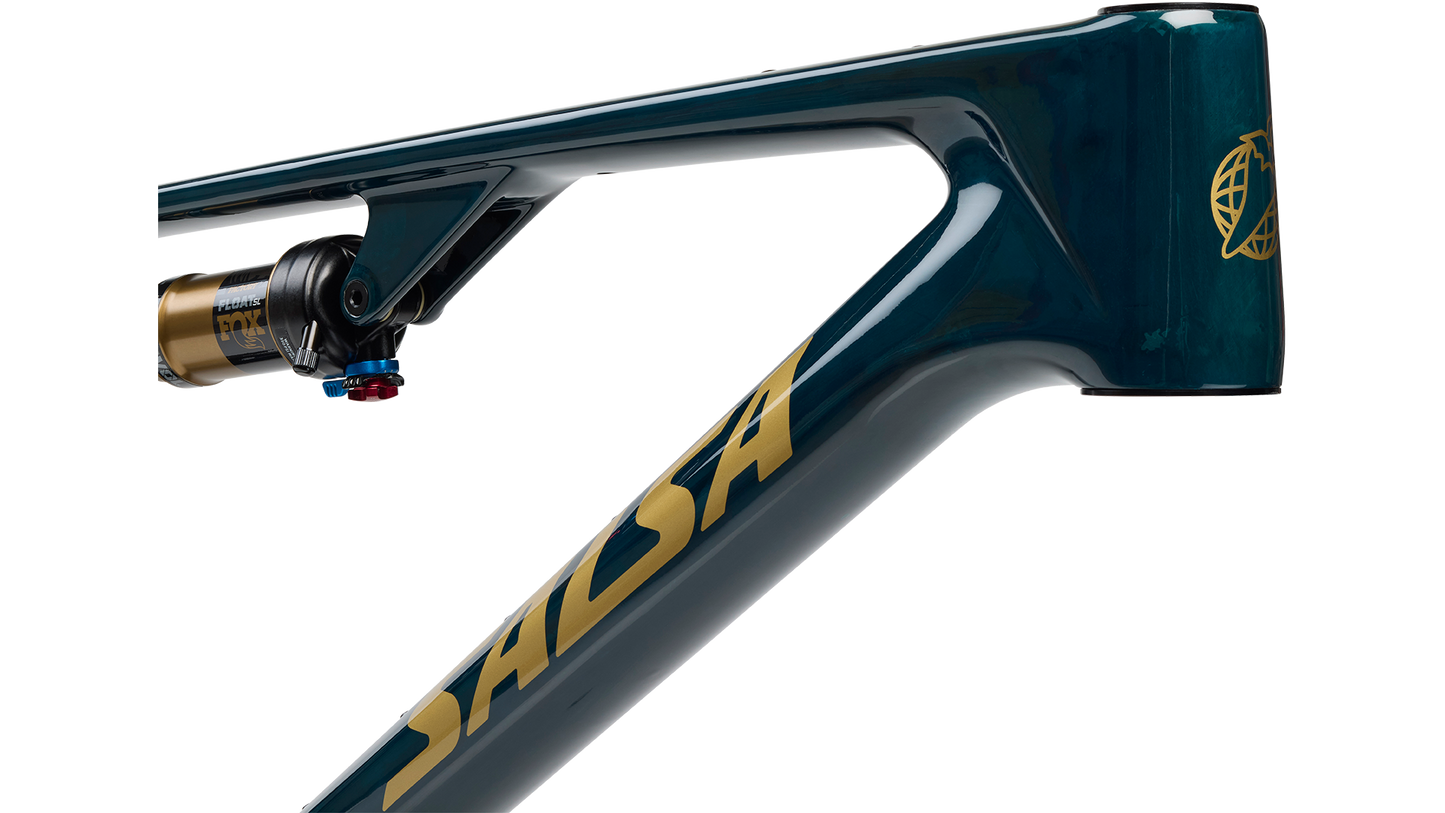 Salsa Spearfish Carbon Deluxe Frame - Gloss Carbon, Front of frame closeup view