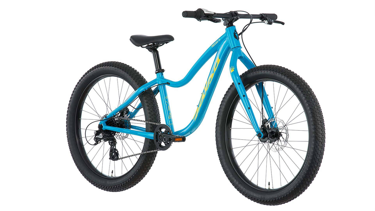 Salsa Timberjack 24 bike blue color front three-quarter view