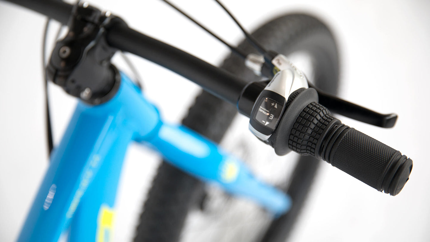 Close-up of a bicycle handlebar with blue frame and black grips.