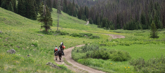 Part 3 - Llama-Packing The San Juans - Part 3
