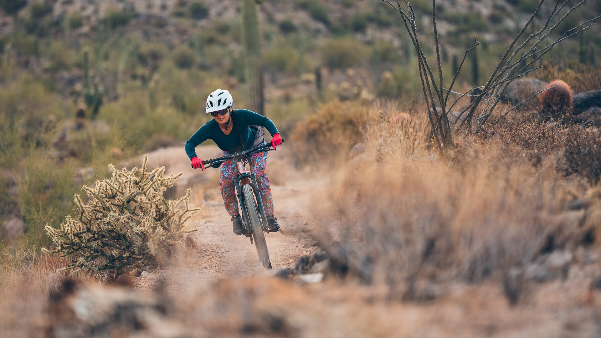 Spearfish – Salsa Cycles