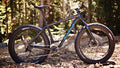 Salsa 2017 Beargrease X5 2x10 in the woods against trees