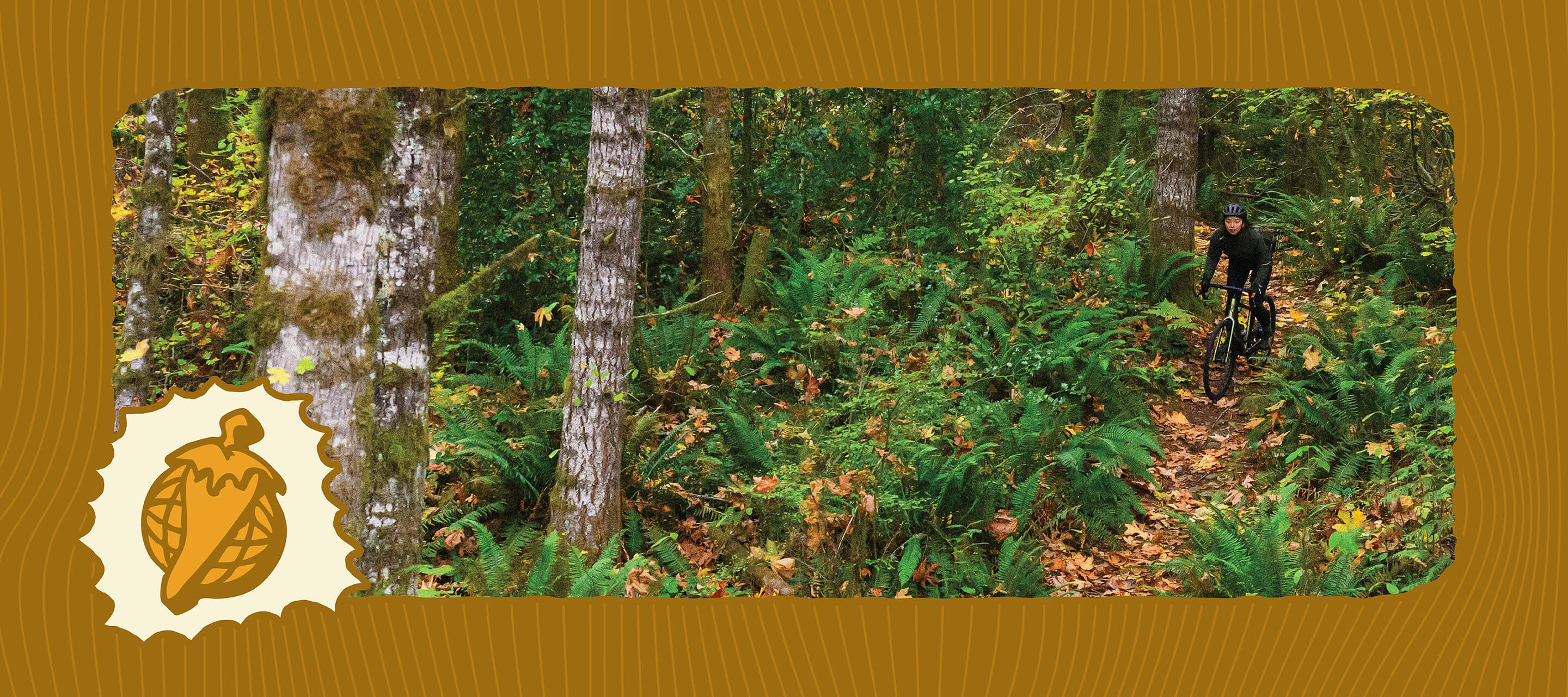 Person biking through a forest with the Salsa pepper globe logo in the corner