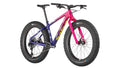 2021 Beargrease Carbon X01 Eagle