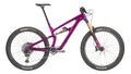 Salsa Blackthorn C X01 Eagle purple color bike side view